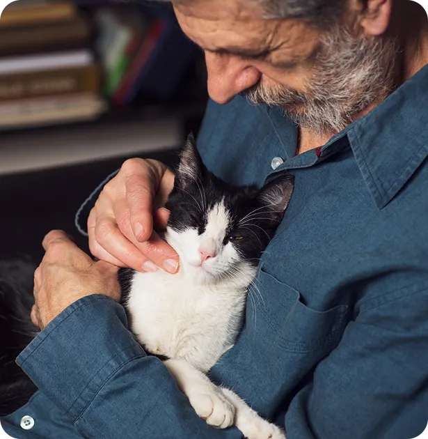 Older man snuggles black and white cat