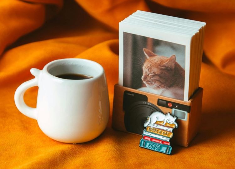 A cup of coffee next to a cat pin, and a box of polaroids of a deceased cat for Rainbow Bridge Remembrance Day.