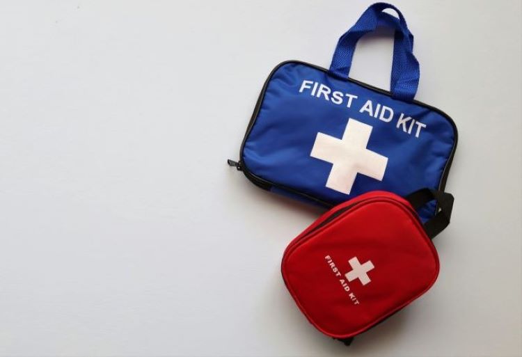 Blue and red first aid kit bags for dog injuries and emergencies.