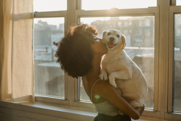 Pet owner kissing dog