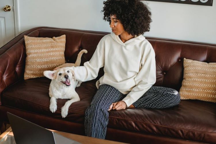 pet-owner-dog-couch