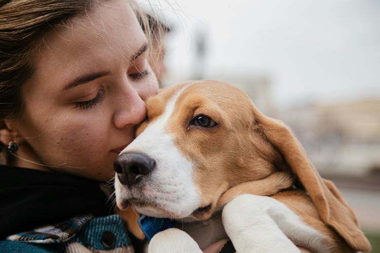 woman-kiss-beagle