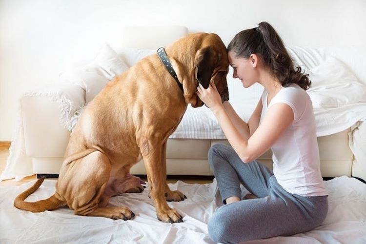 young-woman-rubbing-dog-face