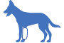 Bandaged dog icon