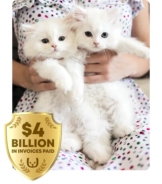 2 white kittens held in somoene's arms