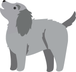 Dogs