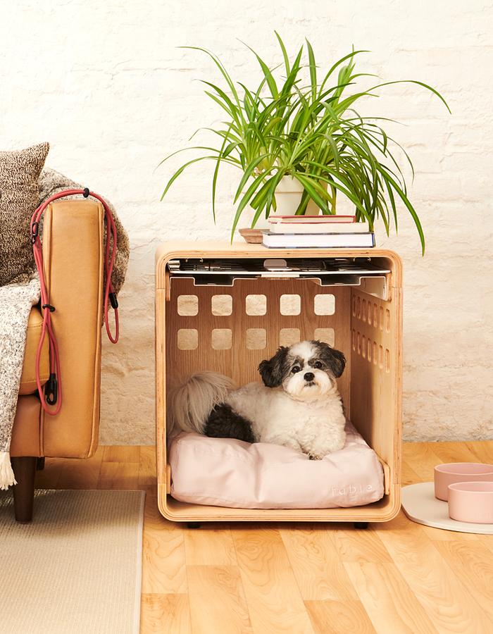 A dog in its bed