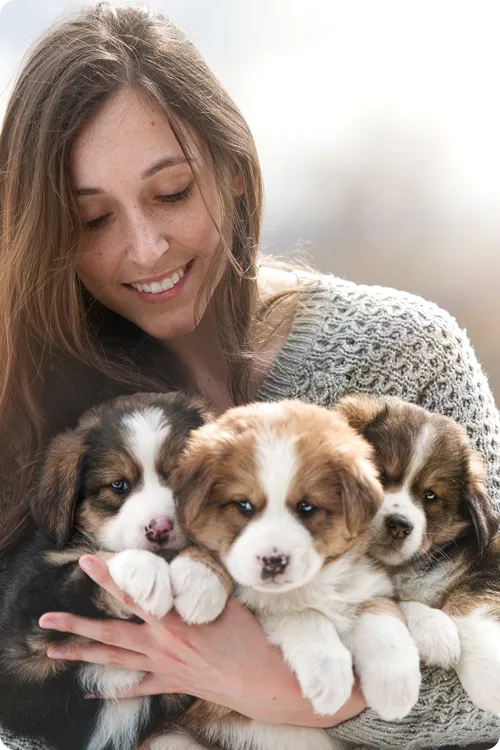 lady holding 3 puppies