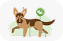Illustration of a dog