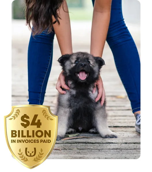 Two hands pat a puppy, with a $2 billion badge in the corner