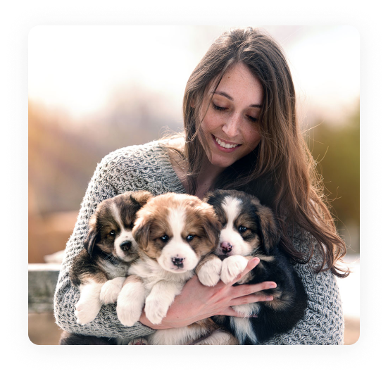 owner cuddling 3 puppies
