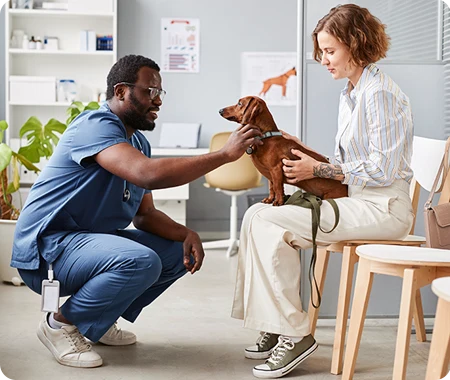 puppy with vet