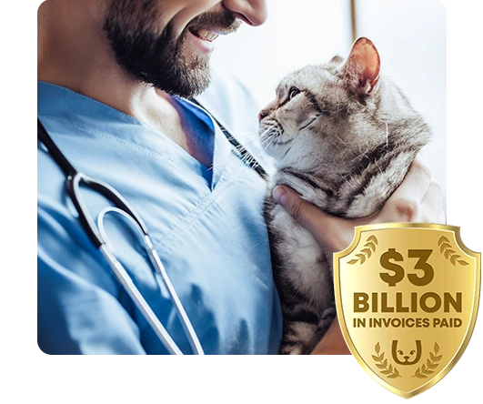A vet holds a cat