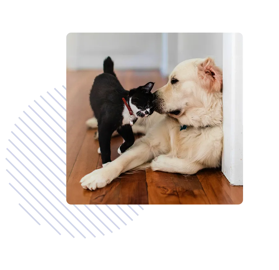 Refer a Friend