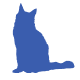 Maine Coon icon
