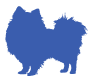 Pomeranian icon