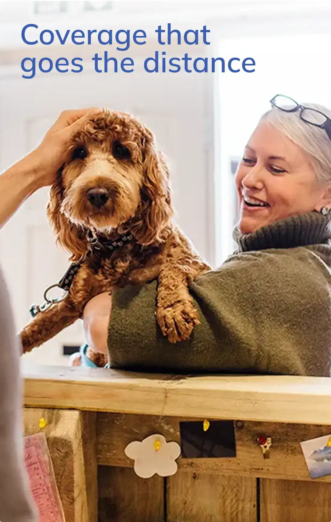A woman holding a dog while someone else pats its head