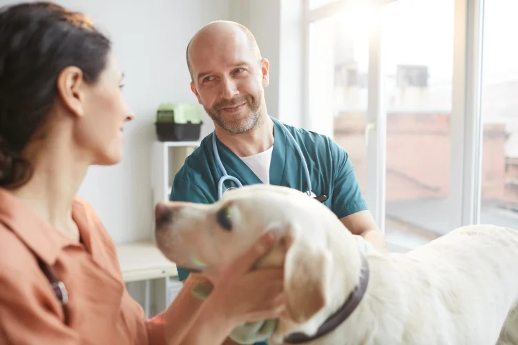 A vet, a woman, and a dog in the vet's office
