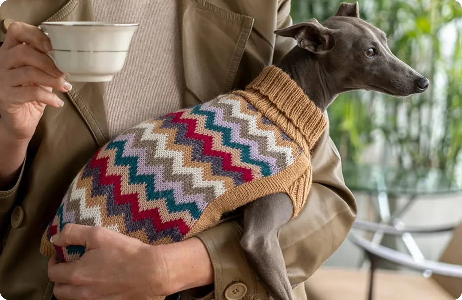 A woman holding a dog who is wearing a sweater