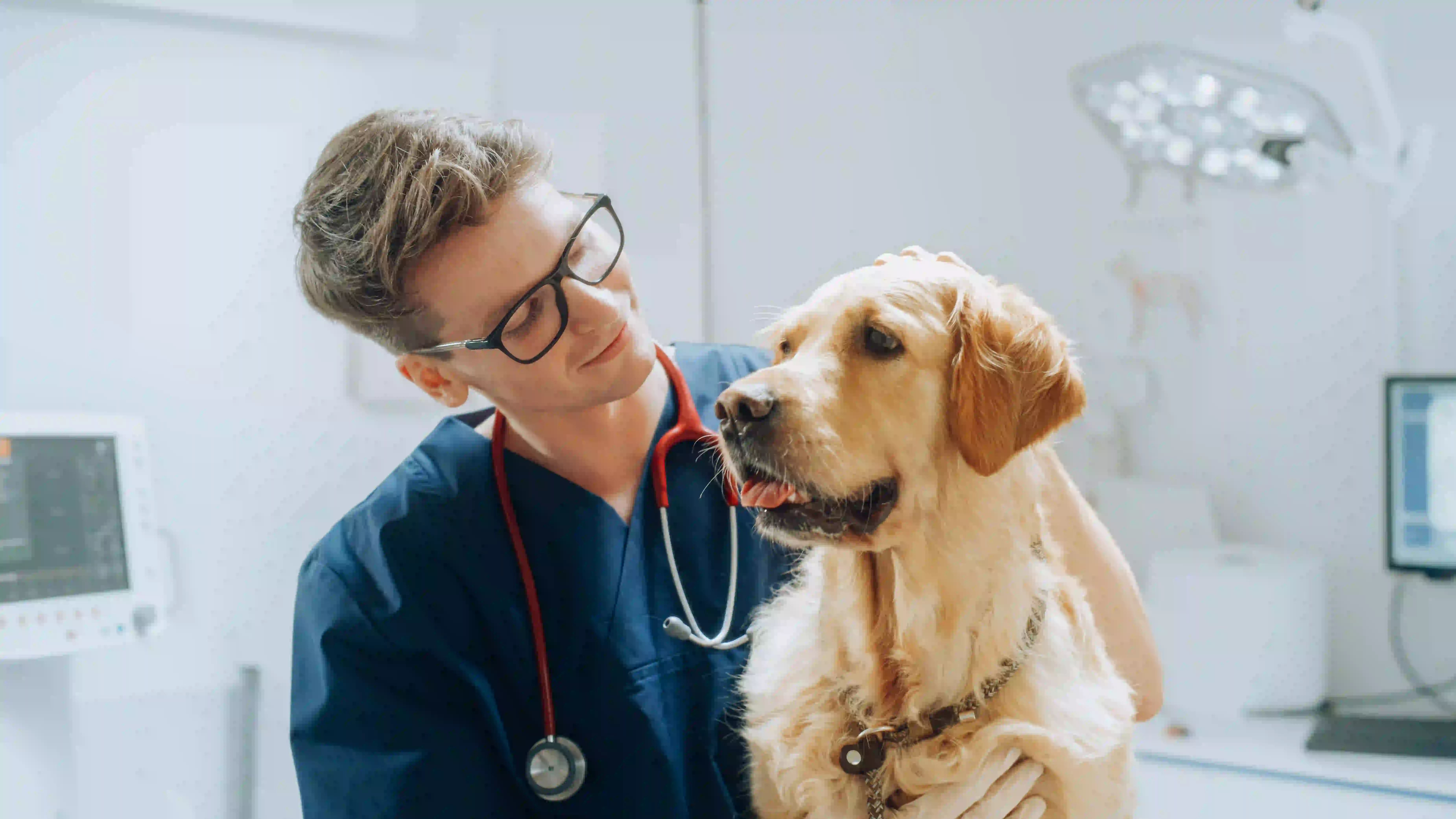 A veterinarian and a dog looking at each other