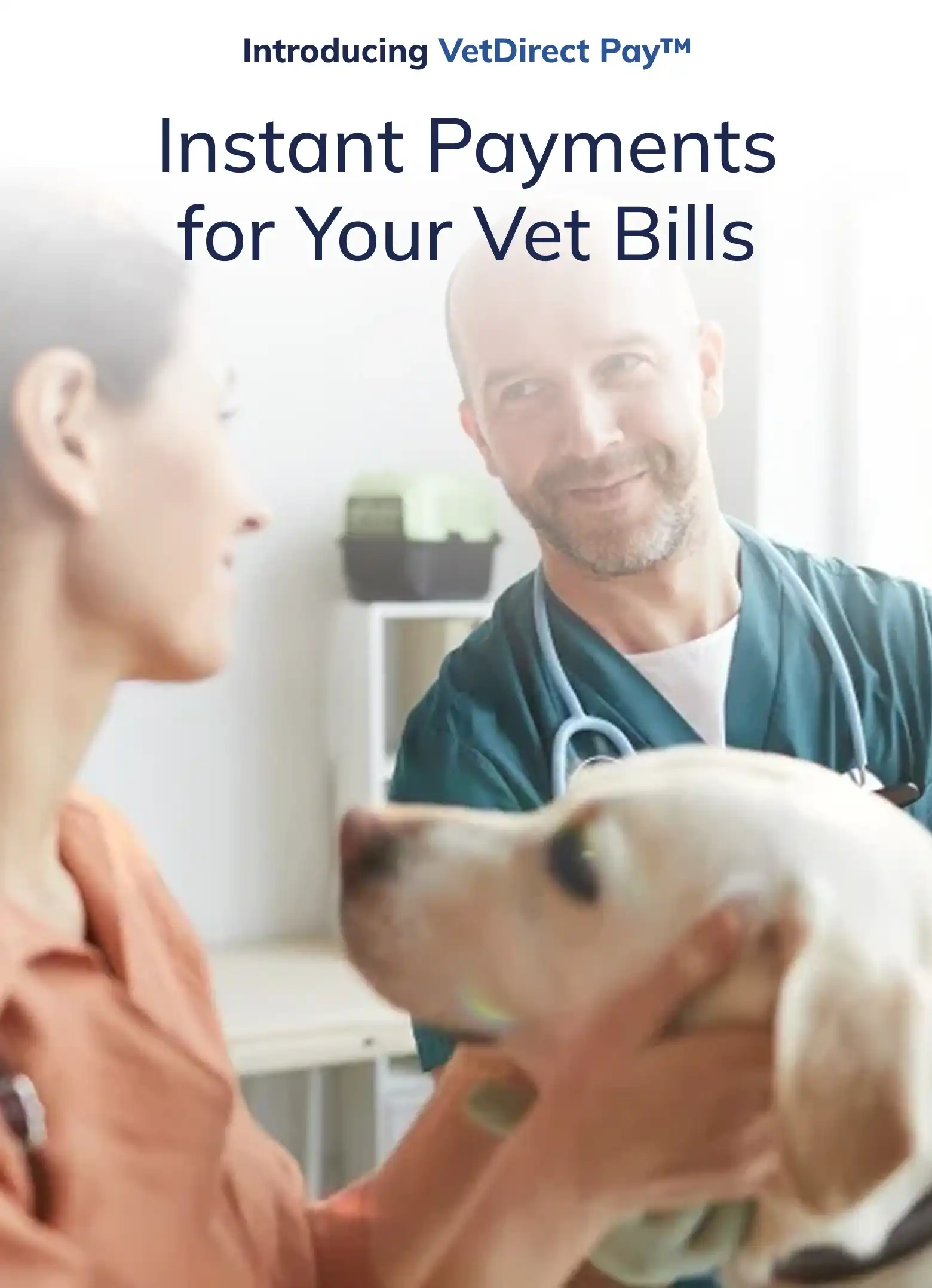 A vet, a woman, and a dog in the vet's office