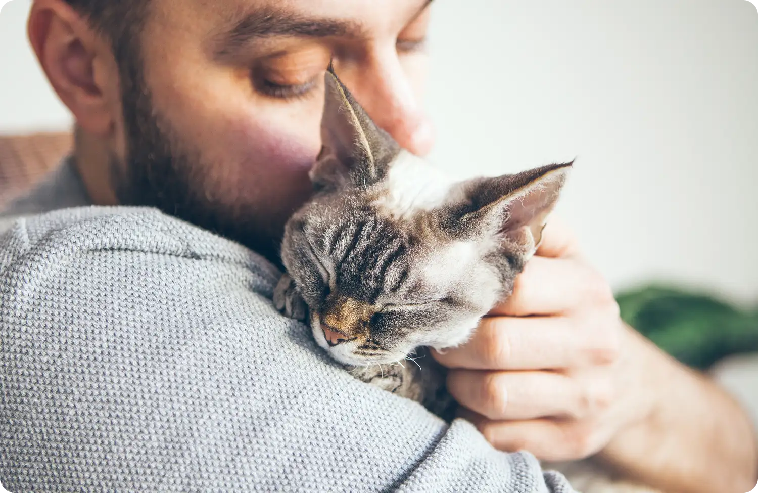 A man snuggling a cat on his shoulder