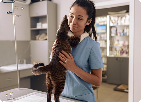 A cat giving a vet a hug