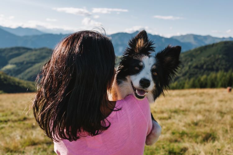 fille dans les champs tenant le chien