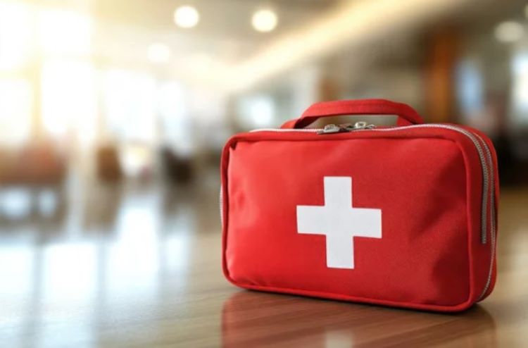 Kit De Premiers Secours Pour Chien Et Chat 84 Pièces - Inclut Couverture De Survie, Bandages, Accessoires - Pour Voyages Et Urgences à La Maison