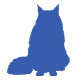 purebred cat