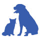 dog and cat