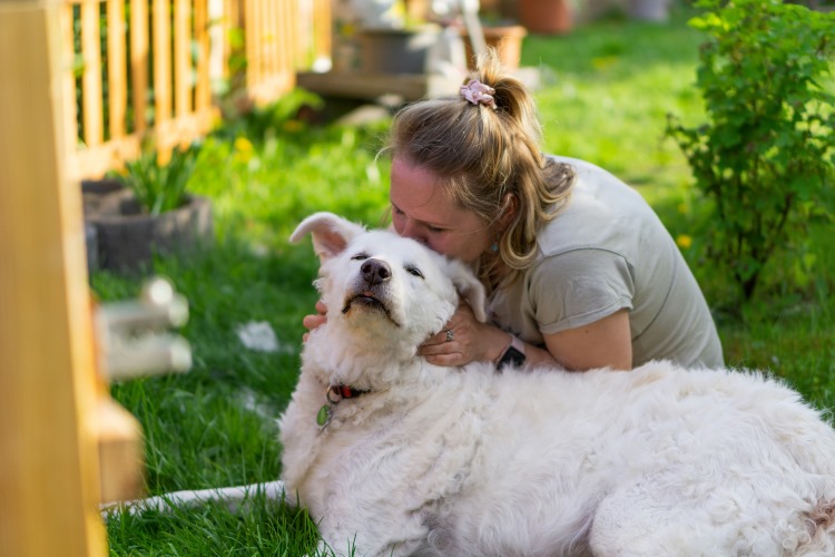 woman hugging large white dog outdoors