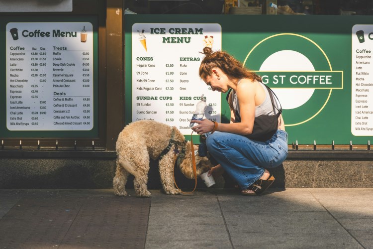 owner giving her dog water from a cup