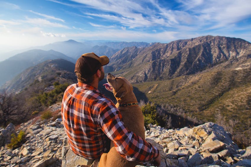 A hiker in a flannel shirt and cap sits overlooking a mountain ridge with his dog at his side.