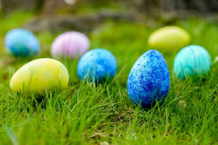 easter-dangers-for-pets