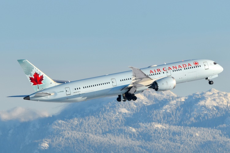 How to Fly with a Cat: A Step-by-Step Guide