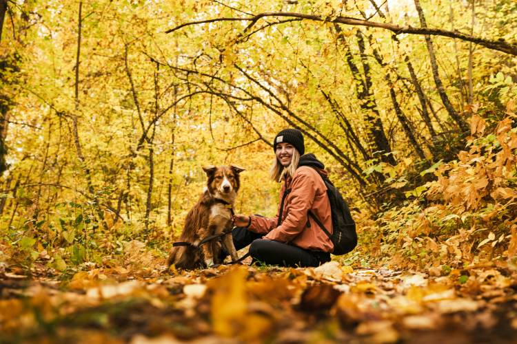 Maladies chroniques et assurance pour animaux : un guide amical pour les propriétaires d’animaux