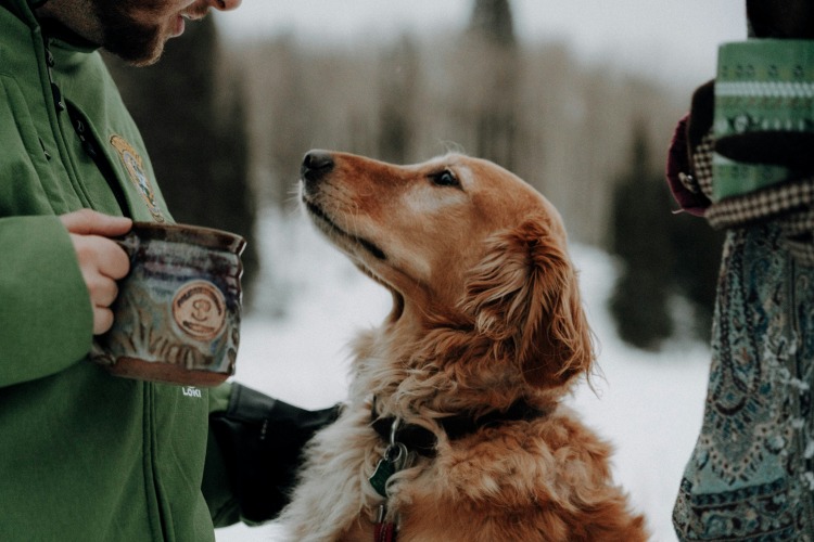 man petting his dog