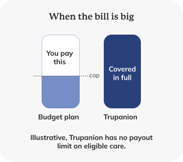 Bill graphic