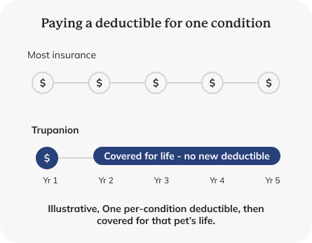 Deductible graphic