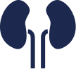 Kidney disease icon