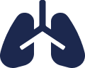 Lungs icon